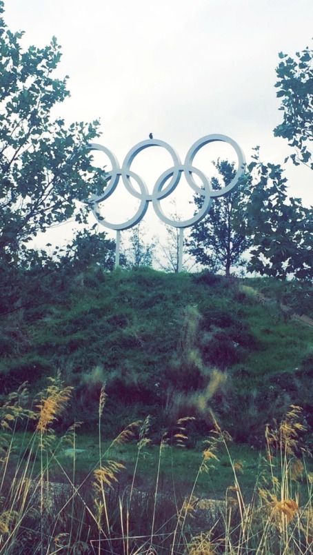 CCS Images Olympic Rings